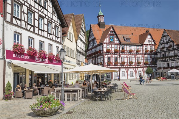 Half-timbered houses and town hall at the market place