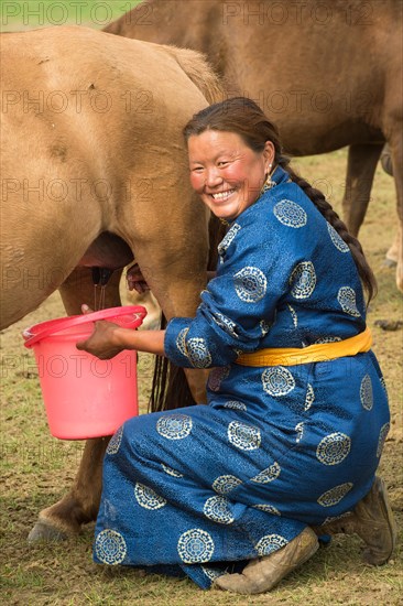 Shepherdess milking mare