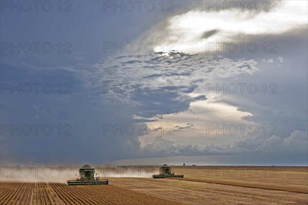 Soybean Mechanized Harvest near Luis Eduardo Mahalhaes