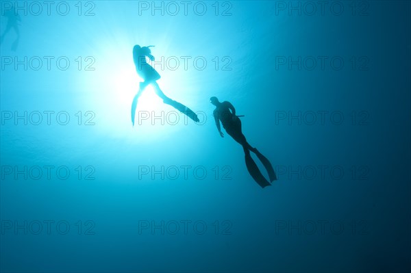 Freedivers