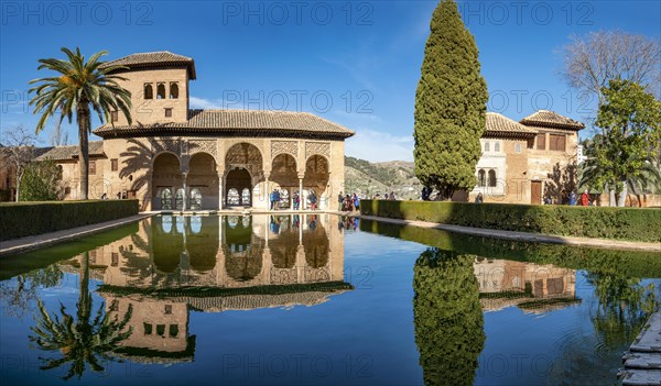 Historic building El Partal with pool and palm trees