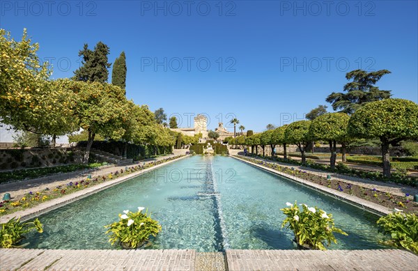 Garden with fountain