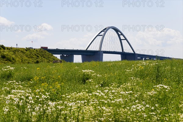 Fehmarnsundbruecke