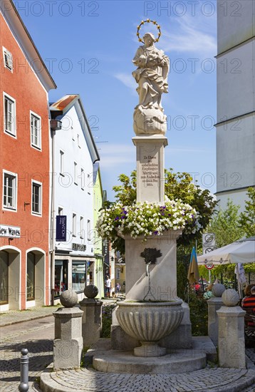 Mariensaeule am Marktplatz