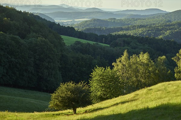 Milseburger Kuppenrhoen