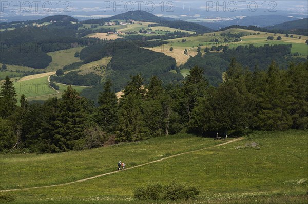 Hiking trail at the Wasserkuppe