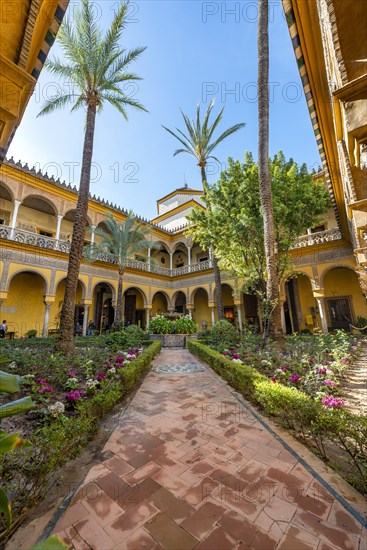 Patio with palm trees