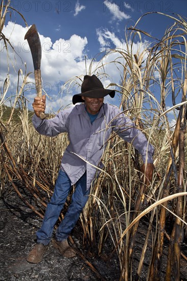 Man with regulation outfit for Manual harvest of burnt sugarcane