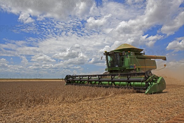 Soybean Mechanized Harvest near Luis Eduardo Mahalhaes