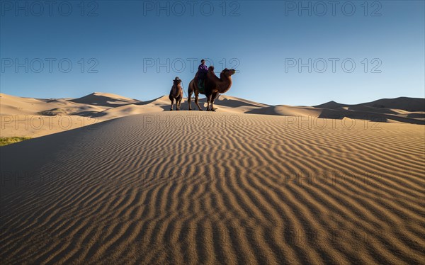 Sand patterns in Khongor sand dunes. Umnugobi province