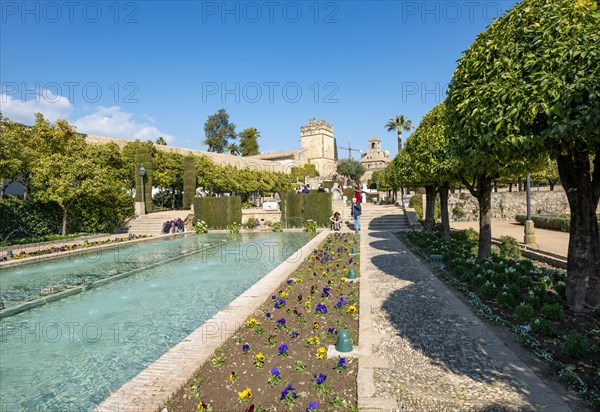 Garden with fountain