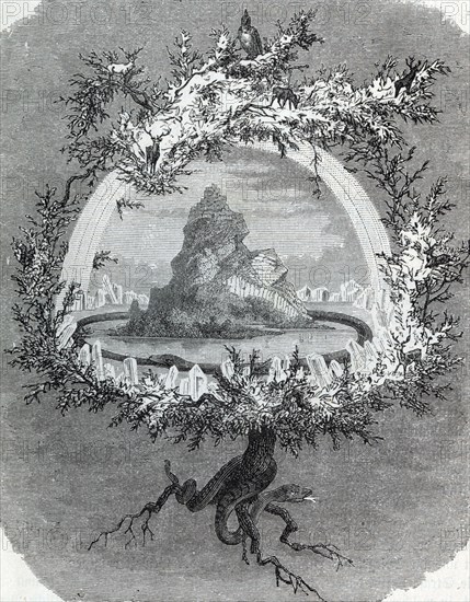 Die Weltesche Yggdrasil