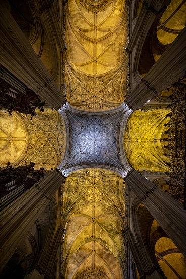 Vaulted ceiling