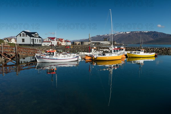 Boats in harbour