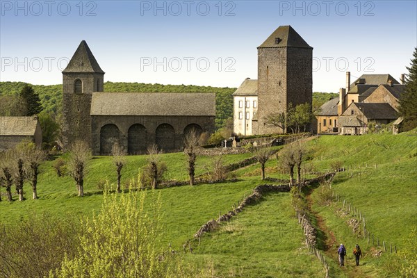 Pilgrims on the Camino de Santiago