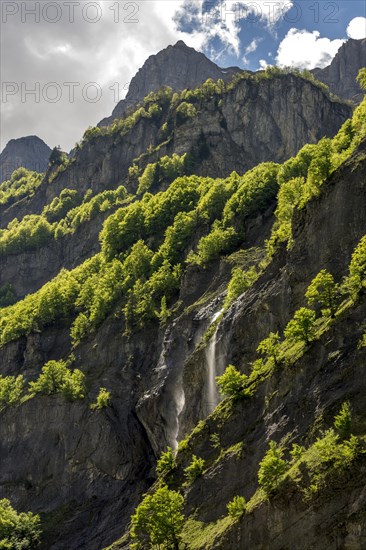 Rocky walls with trees