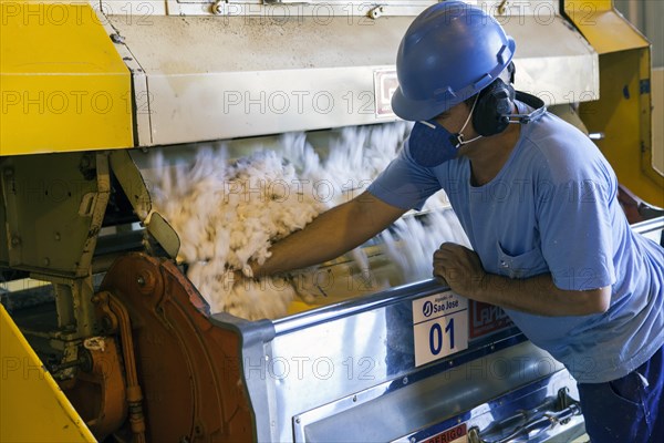 Employee at the cotton factory in Mato Grosso state