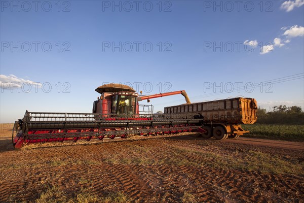 A Combine Unloads Soya Beans into Truck near Luis Eduardo Magalhaes