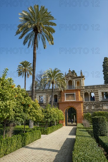 Yellow Gate in the Galeria del Grutesco