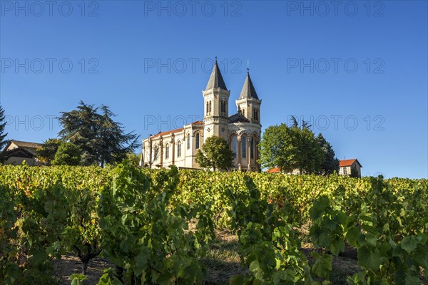 Regnie Durette church in the Beaujolais vineyard