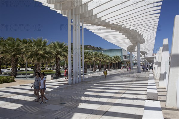 Tourists on the Palmeral de las sorpresas