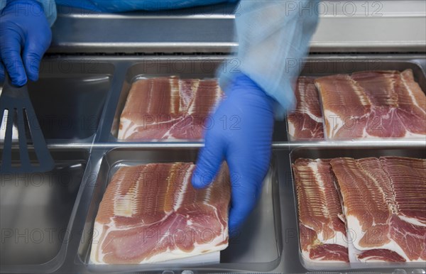 Cured ham being packaged