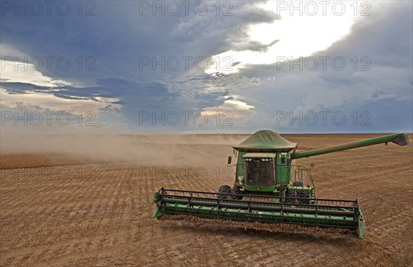 Soybean Mechanized Harvest near Luis Eduardo Mahalhaes