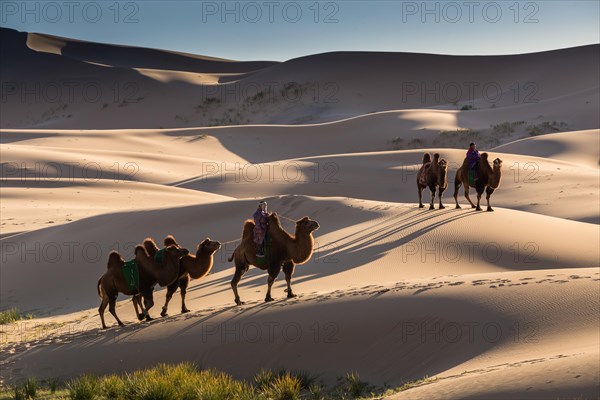 Meeting in sand dunes. Umnugobi province