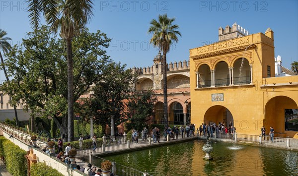 Mercurio Pond