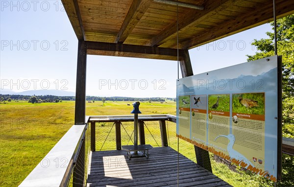 Viewing platform meadow breeding area Haarmoos