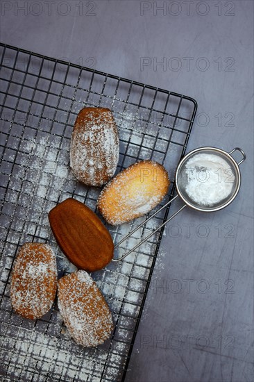 Classic madeleines on cake grid and icing sugar in sieve