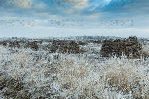 Piled up peat sods in the bog in winter at hoarfrost