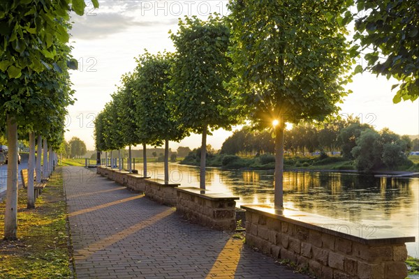 Sunset at the Weser bank with sunrays through trees