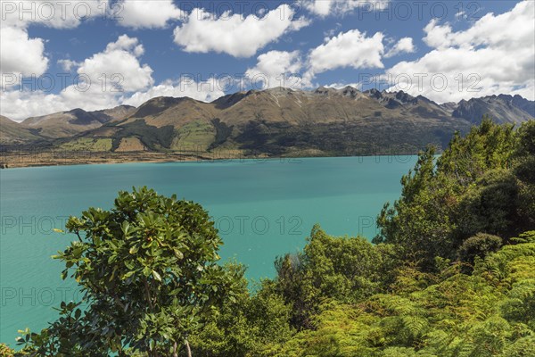 Lake Wakatipu with Thomson Mountains