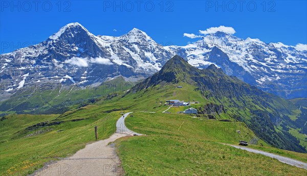 Mountain meadow and hiking trail on the Maennlichen with the triumvirate of the Eiger