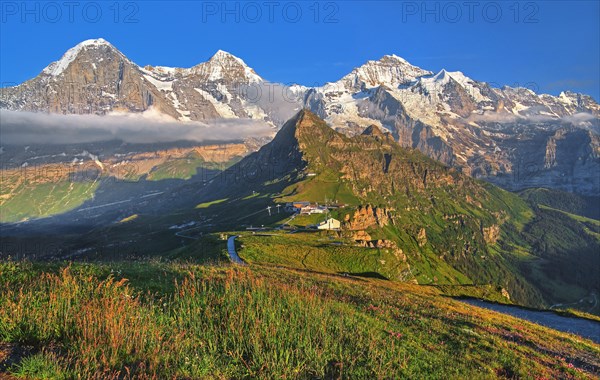 Mountain meadow on the Maennlichen with the triumvirate of the Eiger