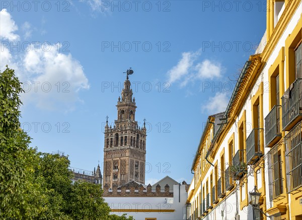 View of the bell tower La Giralda from the Patio de las Banderas