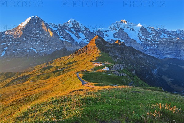 Mountain meadow on the Maennlichen with the triumvirate of the Eiger