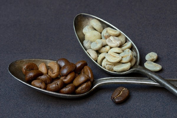 Green coffee and roasted coffee beans in spoon