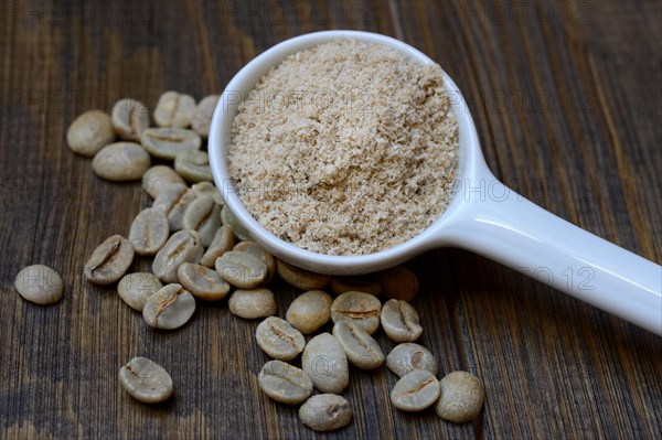 Green coffee beans and unroasted coffee powder in spoon