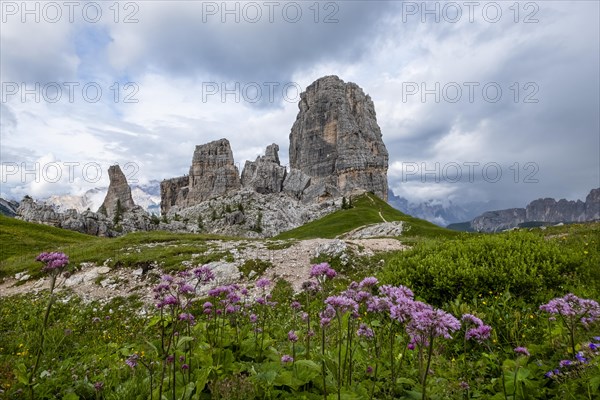 Cinque Torri with flower meadow