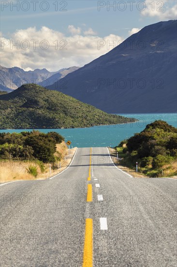 Road at Lake Wakatipu