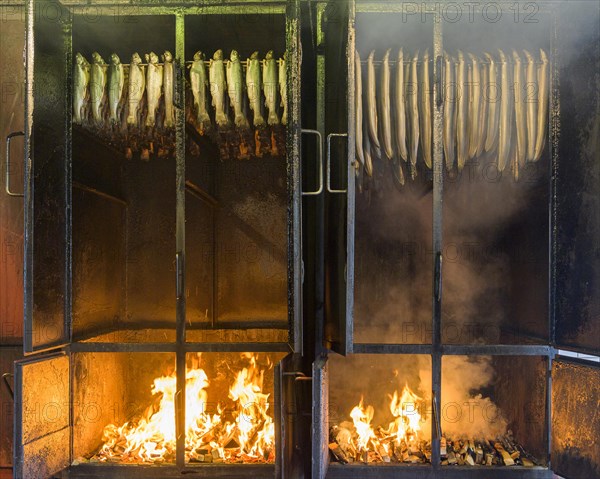 Smoked Fotrellen and eels in the smoking oven