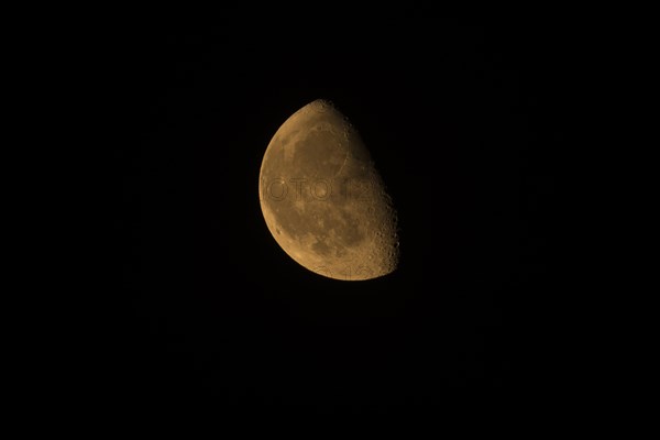 Reddish colored waning moon in the evening