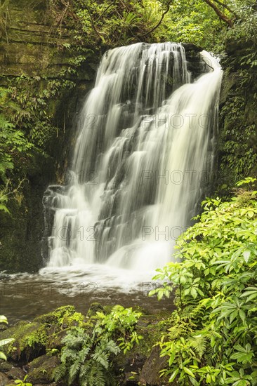 Horseshoe Falls