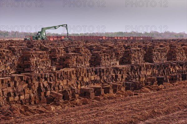 Piled up peat sods in the bog