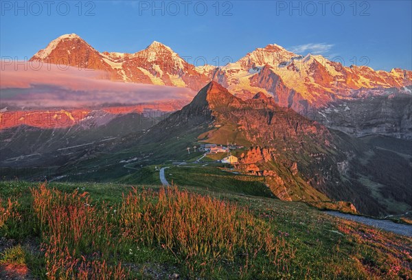 Mountain meadow on the Maennlichen with the triumvirate of the Eiger