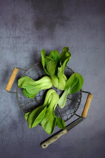 Pak Choi or Chinese mustard cabbage in wire basket with knife