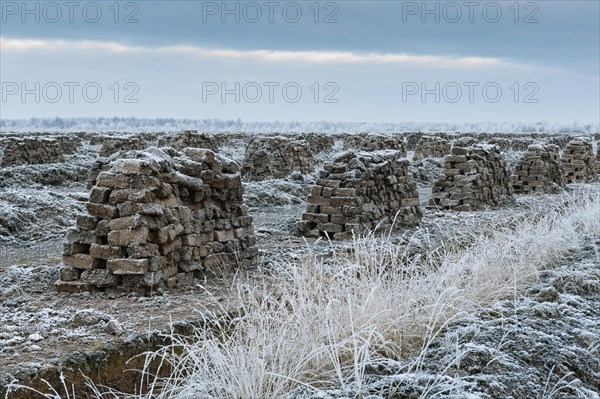 Piled up peat sods in the bog in winter at hoarfrost