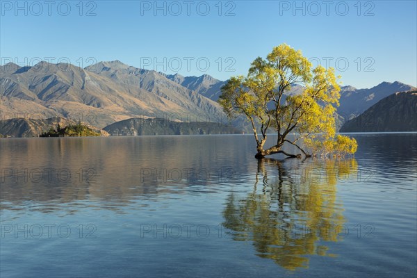 Lake Wanaka at sunrise